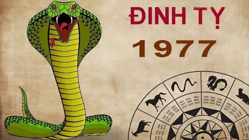 1977 menh gi thumbnail
