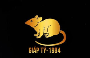 500408 5b0a1355d1e84034a2e87f1e68f48ce6mv2