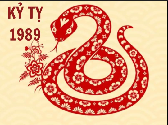 Capture 29