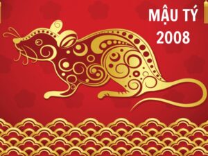 tu vi tuoi mau ty 2008