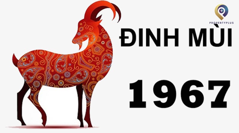 tuoi dinh mui hop huong nao 1