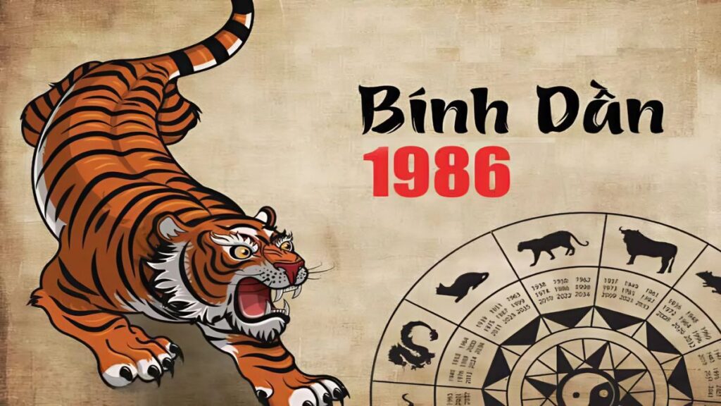 1986 menh gi thumbnail 1