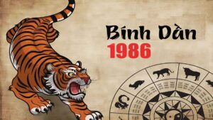1986 menh gi thumbnail 1