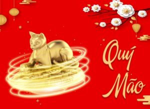 quy mao 2023