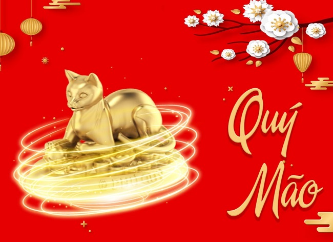 quy mao 2023