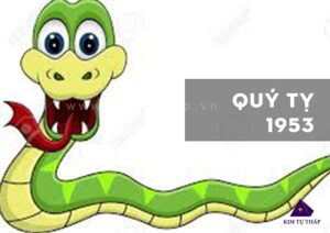 quy ty 1953