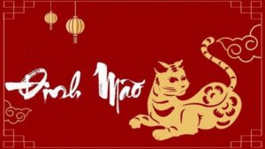 tong quan tu vi tuoi dinh mao 1758782460.762