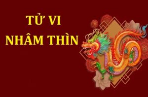 tu vi nham thin1952