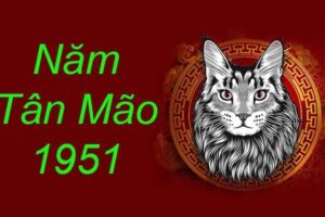 tu vi tan mao 1951 1