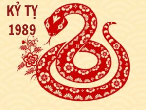 tu vi tuoi ky ty 1989 1