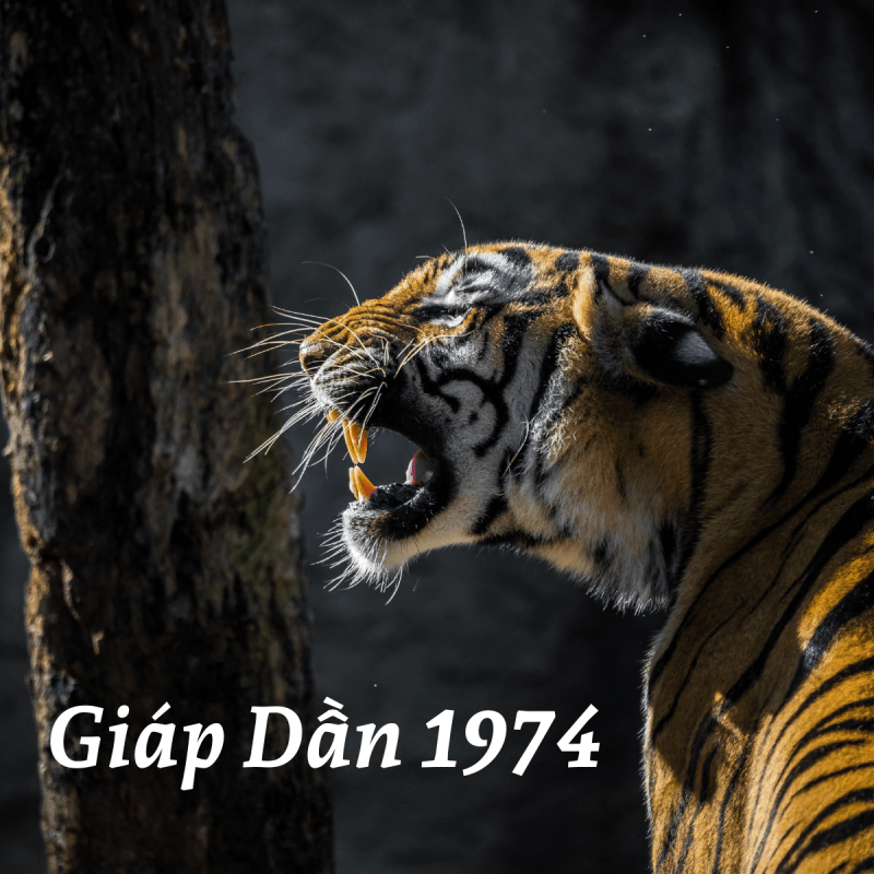 tuoi giap dan 1974 lam nha nam nao tot 1 800x800 1