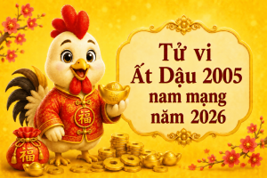 Tử vi Ất Dậu 2005 nam mạng năm 2026