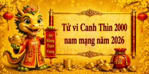 Tử vi Canh Thìn 2000 nam mạng năm 2026