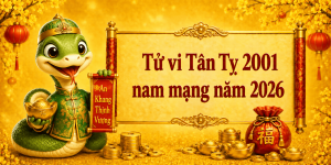 Tử vi Tân Tỵ 2001 nam mạng năm 2026